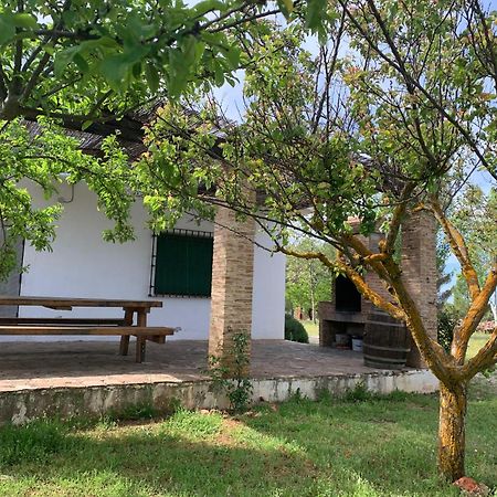 Gran Casa, Lagunas De Ruidera, Bbq, Porche, Chimenea Eksteriør billede