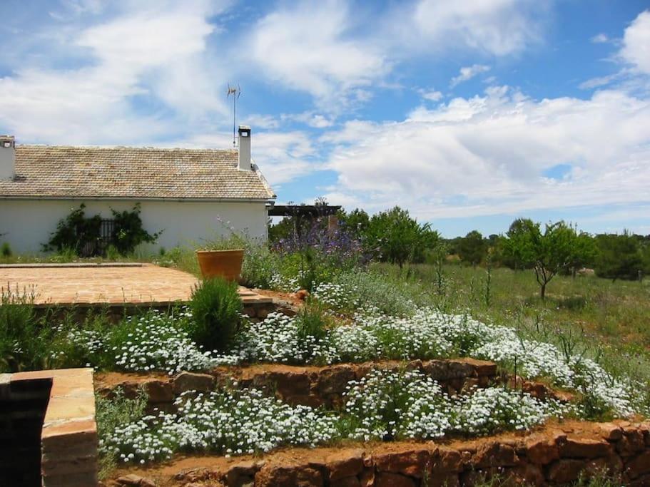 Gran Casa, Lagunas De Ruidera, Bbq, Porche, Chimenea Eksteriør billede
