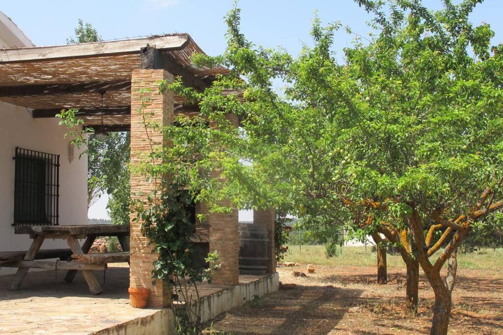 Gran Casa, Lagunas De Ruidera, Bbq, Porche, Chimenea Eksteriør billede